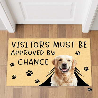 Personalized Pet Dog Welcome Door Mat with Photo and Name (A04)