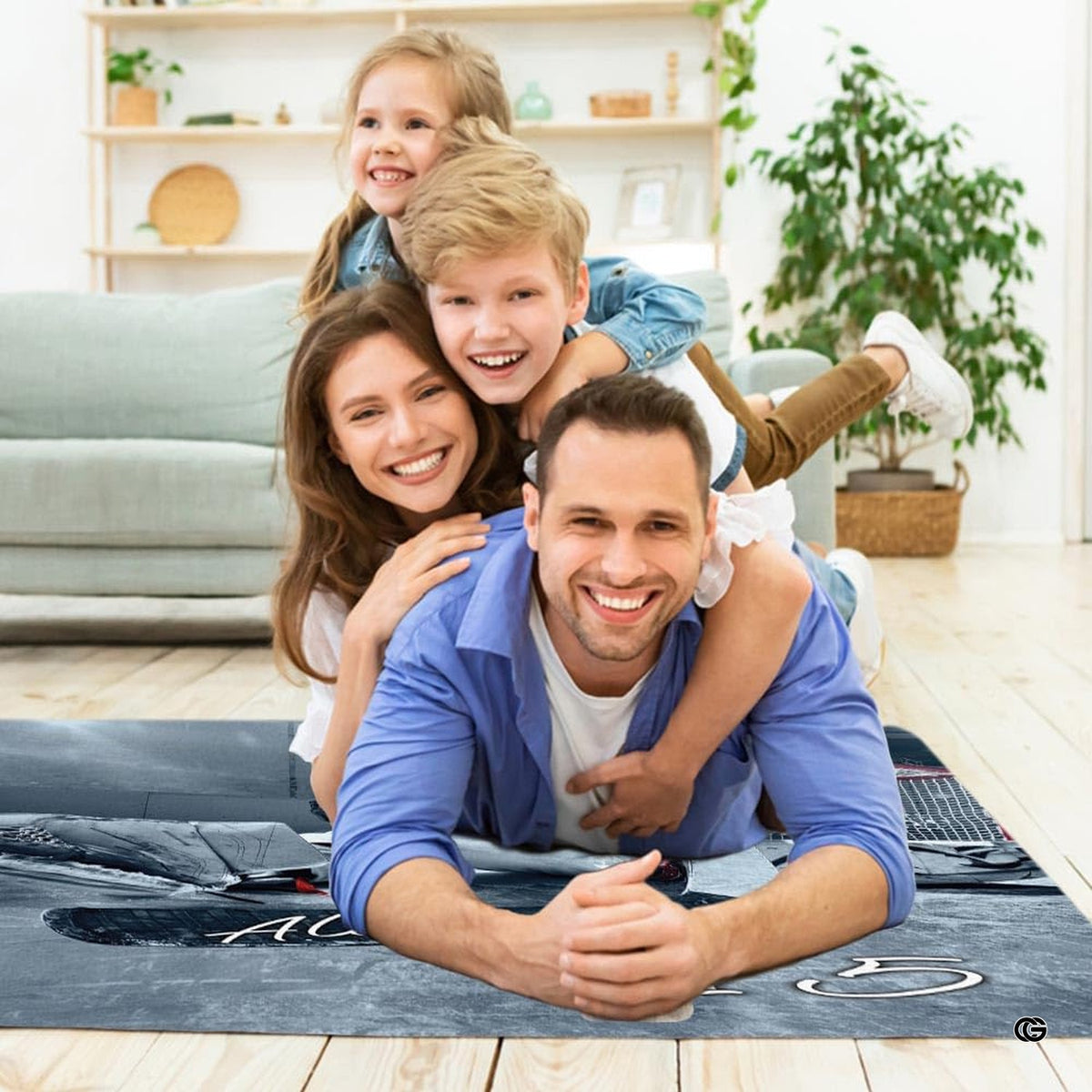 Overhead layout of ice hockey goaltender area rug in modern decor space.